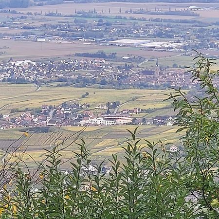 Sur La Route Du Vin Villa Rorschwihr ภายนอก รูปภาพ